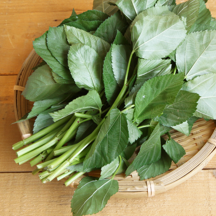 夏のネバネバ野菜たち 坂ノ途中