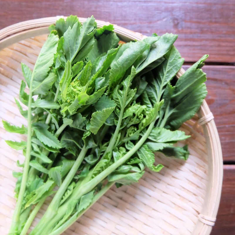 菜の花って何の花 いろいろな冬野菜の 菜の花 坂ノ途中