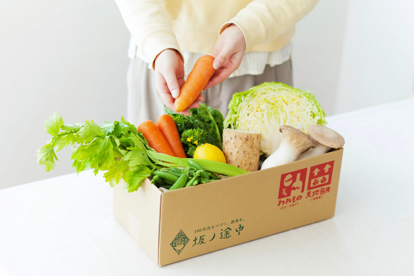 楽天市場】【1品ずつ個包装】無農薬 有機野菜セット 7品目