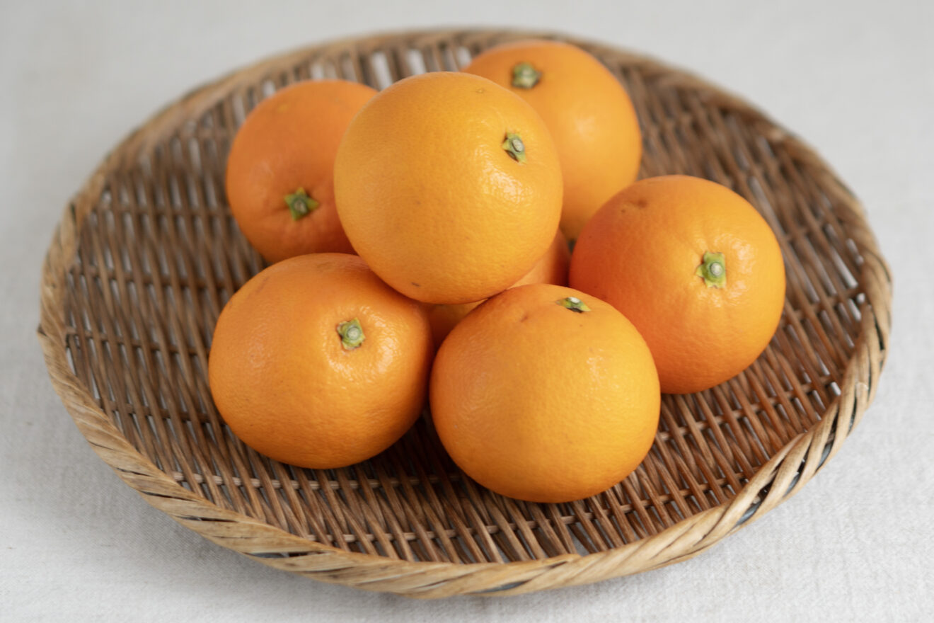 ネーブルオレンジ 175-navel5kg01.jpg