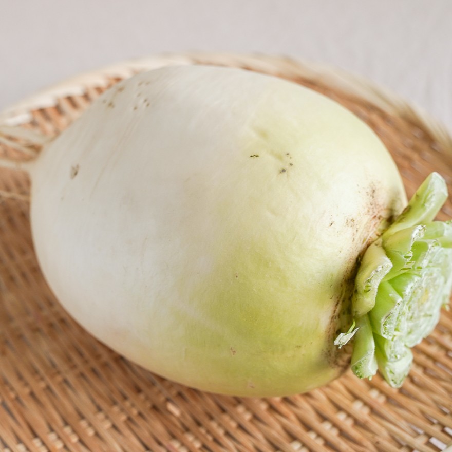 聖護院だいこん