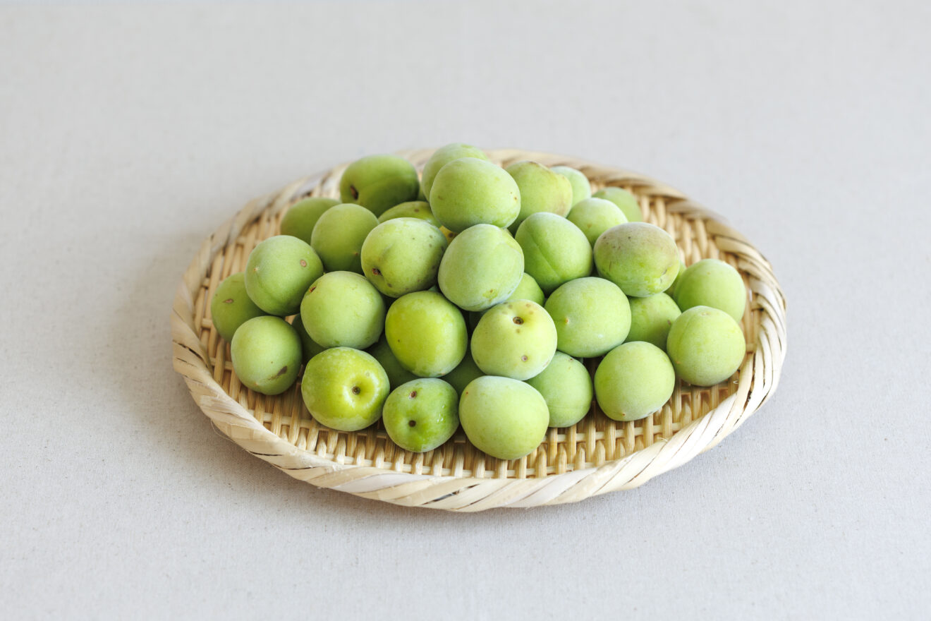梅（品種おまかせ） 1kg | 坂ノ途中Onlineshop | 出会う、味わう、季節