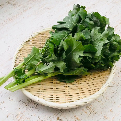 のらぼう菜