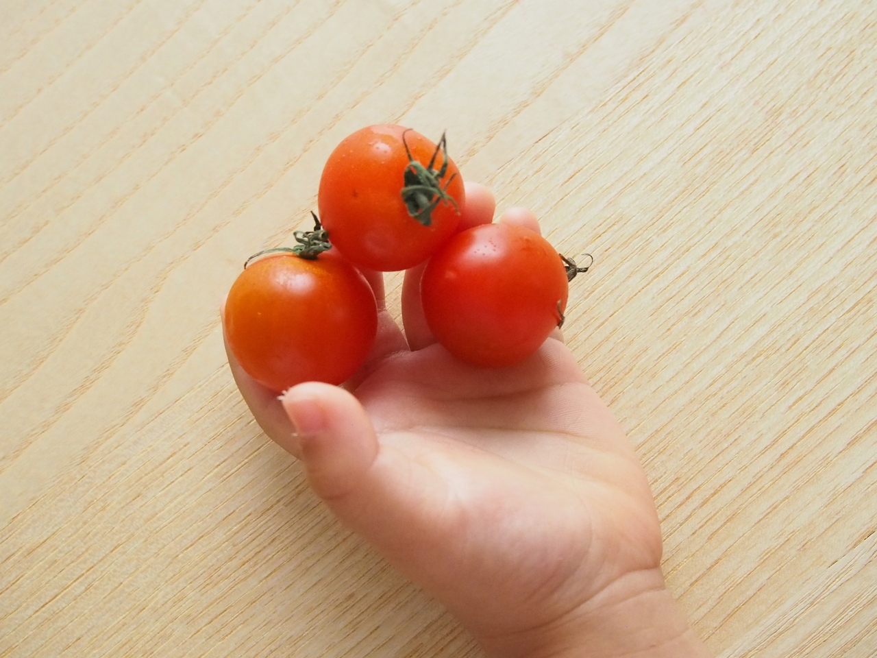 子どもと一緒に食べたい 旬のあれやこれ トマト 坂ノ途中 子どもと一緒に食べたい 旬のあれやこれ トマト 坂ノ途中