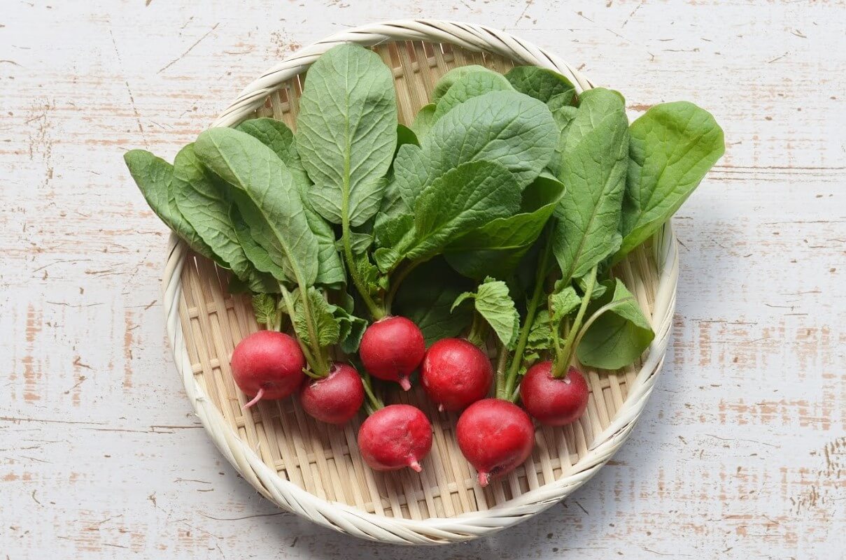 ラディッシュ 300g 坂ノ途中 ラディッシュ 300g 坂ノ途中