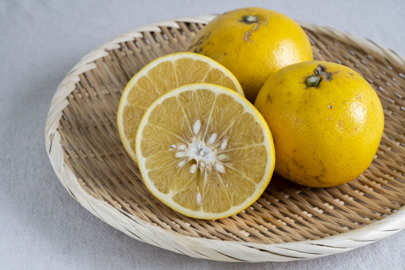 レモン（瀬戸内・四国・紀伊そだち） 500g ／ 1kg | 坂ノ途中