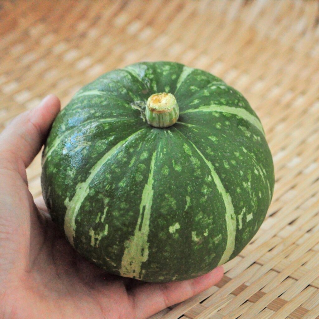 すずかぼちゃ