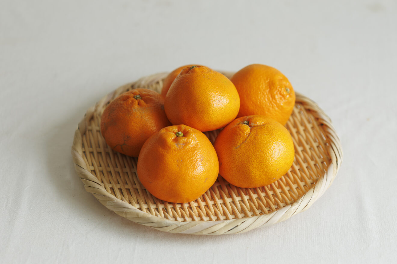 はるみ 1kg | 坂ノ途中 | サステナブルな有機野菜と食品通販