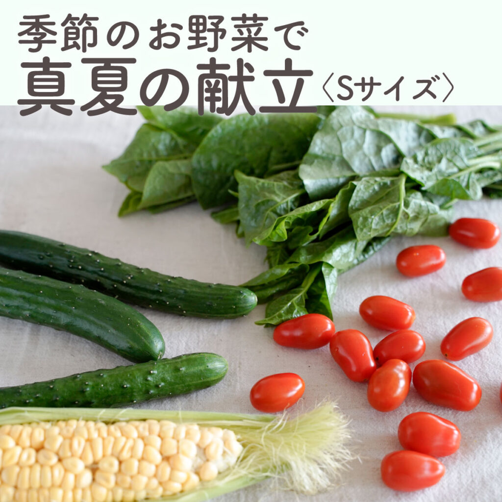 根っからのきゅうり 300g | 坂ノ途中 | サステナブルな有機野菜