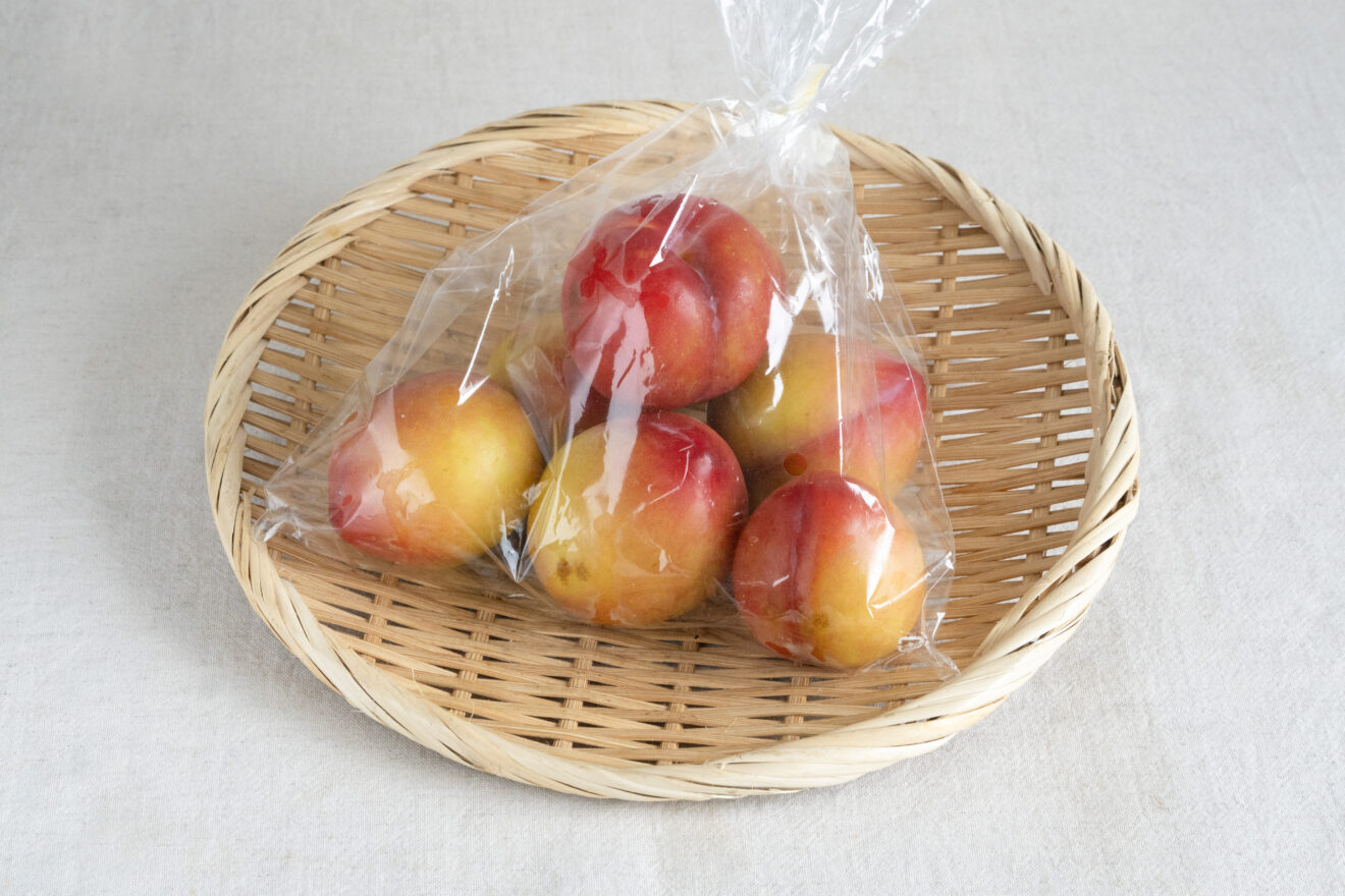 特栽相当】すもも・品種おまかせ 500g（4～10個程度） | 坂ノ
