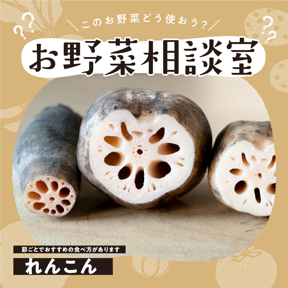 れんこん料理のワンパターン化もお助け！節ごとの特長などを知れば