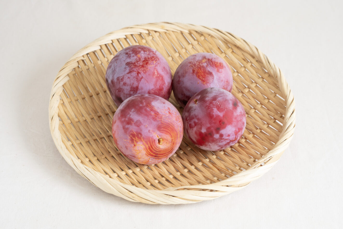 すもも・品種おまかせ（貴陽/太陽/皇寿） 500g（特栽相当） | 坂ノ途中
