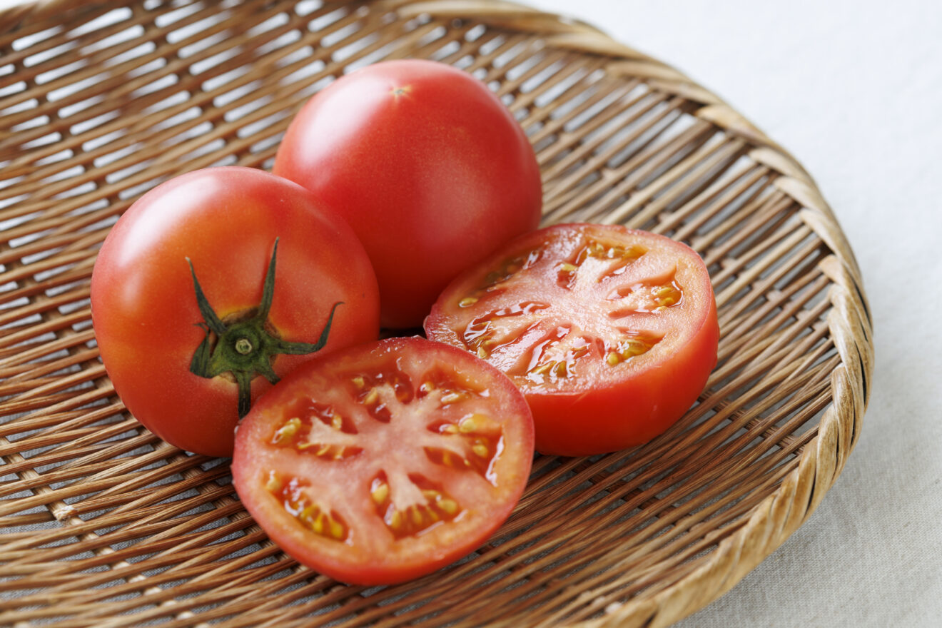 いろいろ夏野菜セット(4種) | 坂ノ途中 | サステナブルな有機