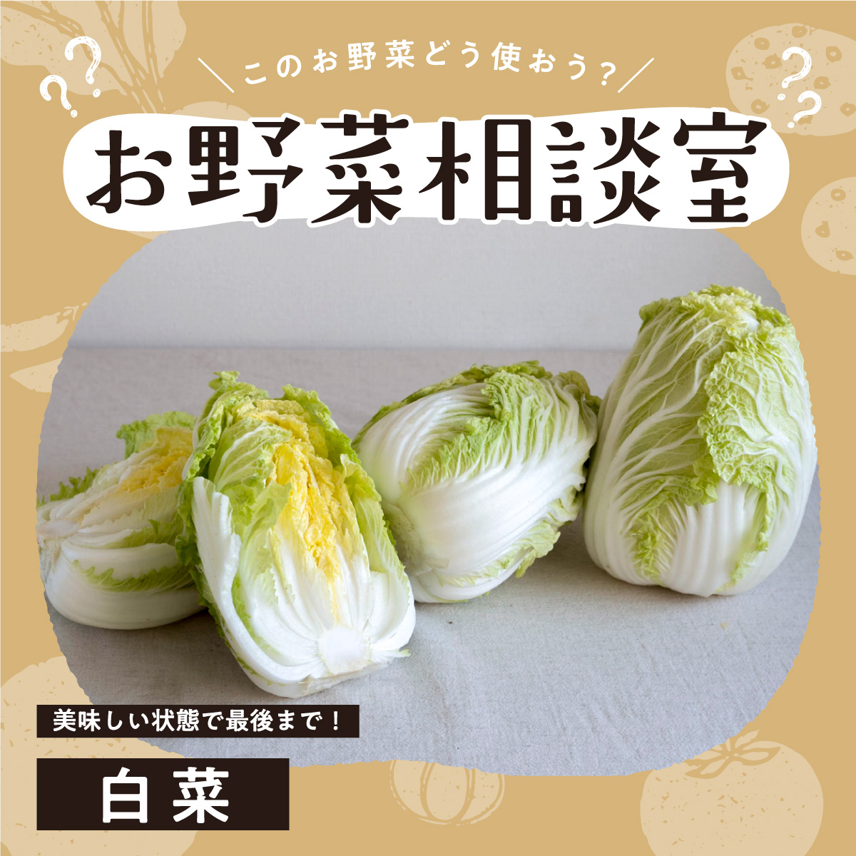 白菜ページ 即席白菜漬の素| 商品情報| 簡単&時短 with 発酵レシピ| 発酵レシピの