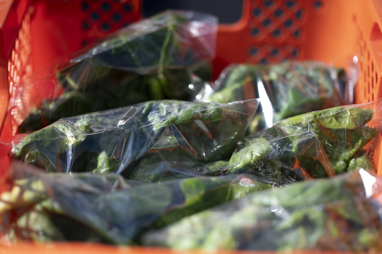 野菜のプラスチック包装について考える | 坂ノ途中 | 100年先もつづく