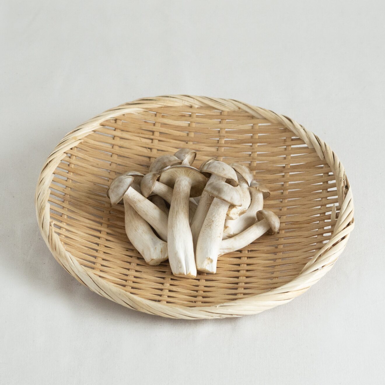 きのこ | 坂ノ途中Onlineshop | 出会う、味わう、季節の暮らし。