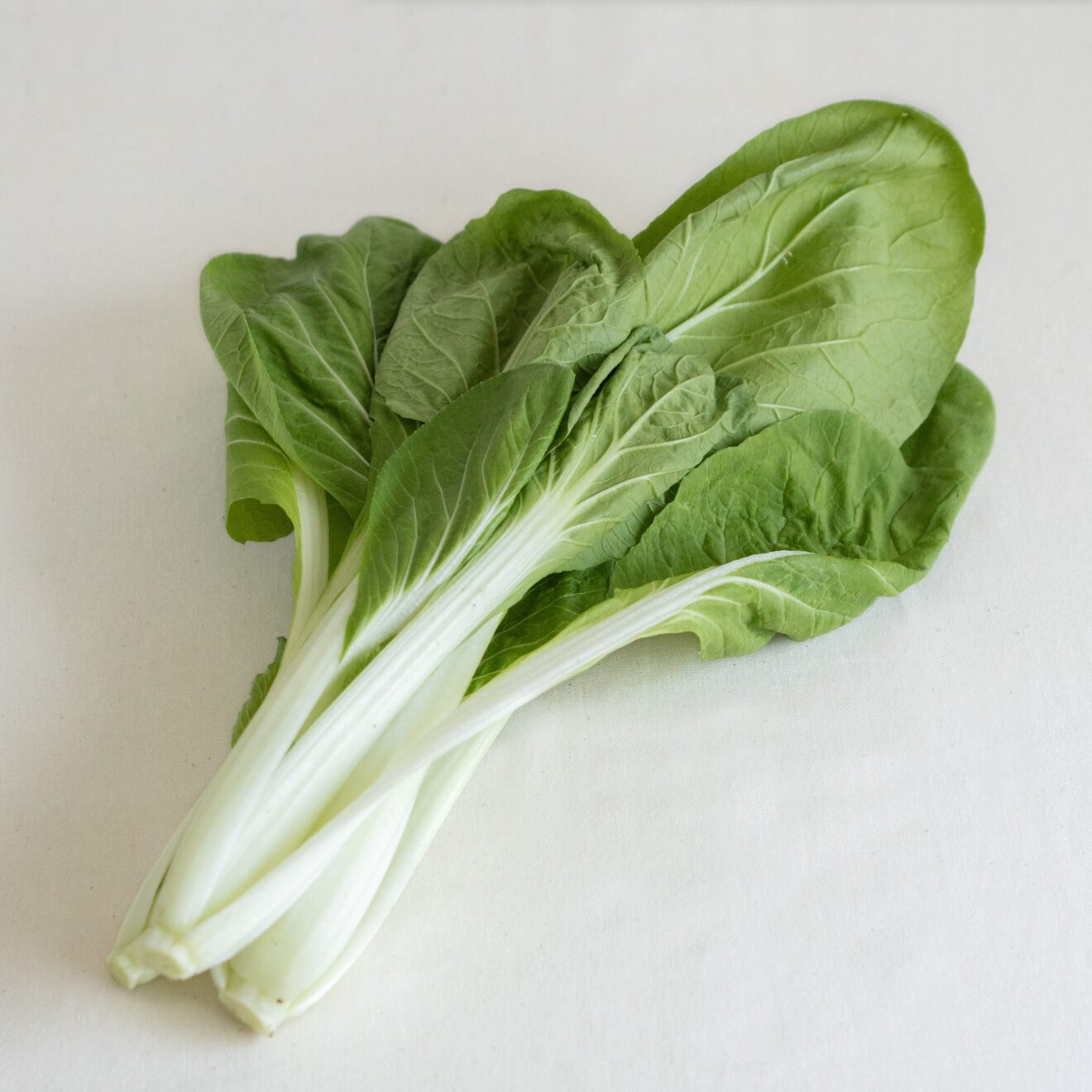 しろ菜