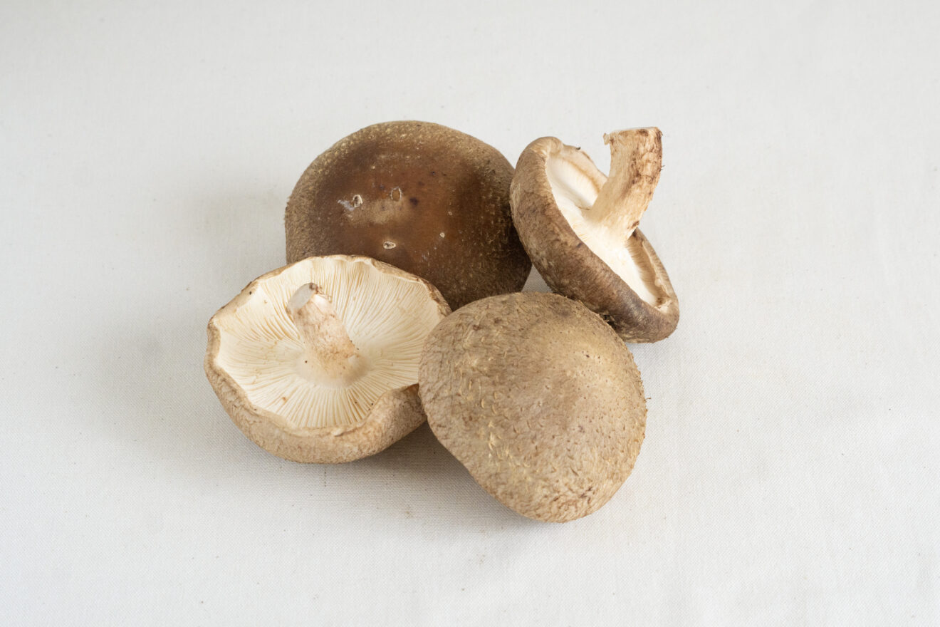 菌床生しいたけ 100g | 坂ノ途中 | サステナブルな有機野菜と食品通販