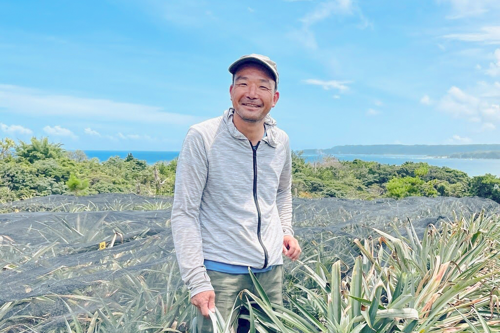 沖縄産パイナップル（ハワイ種） 1個 | 坂ノ途中Onlineshop | 出会う