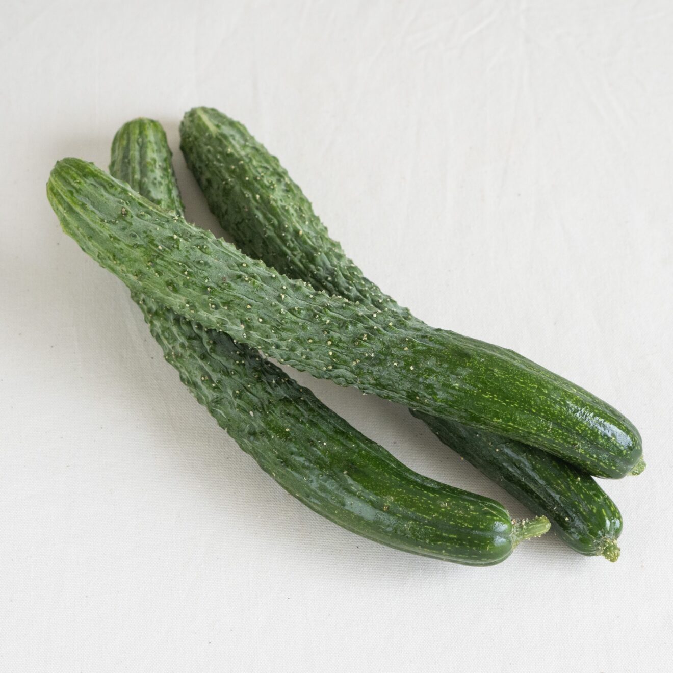 旬のお野菜セット(L)[1回お届け] | 坂ノ途中 | サステナブルな