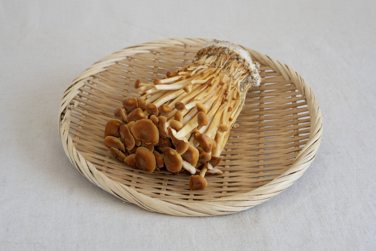 えのきたけページ えのき茸200g - 九州産 大木町の採れたてきのこの直販 通販