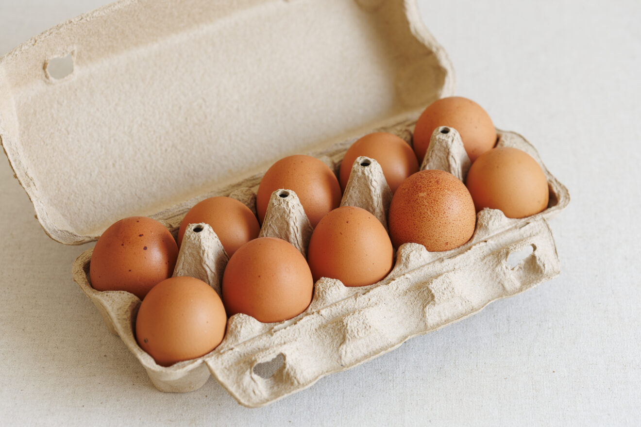 飛鳥の卵 10コ入り | 坂ノ途中 | サステナブルな有機野菜と食品通販