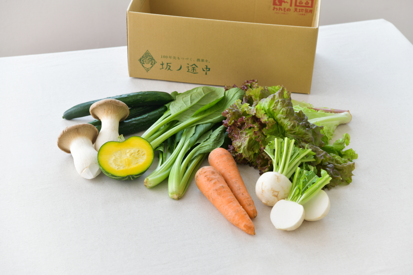 6月のお野菜セット例 | 坂ノ途中Onlineshop | 出会う、味わう、季節の