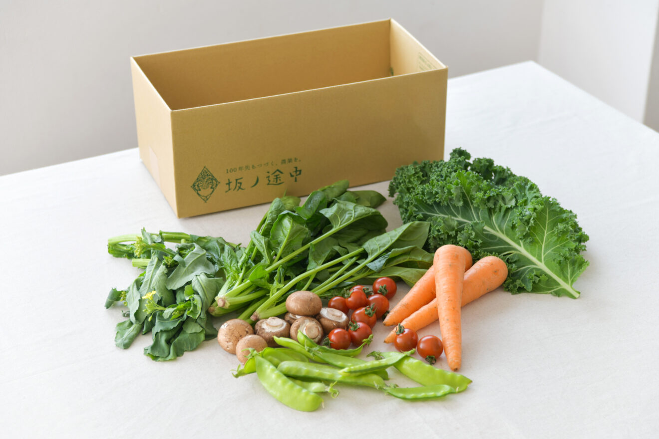 5月のお野菜セット例 | 坂ノ途中Onlineshop | 出会う、味わう、季節の