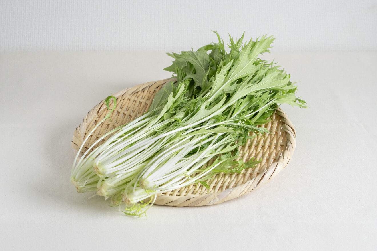 【予約販売品】 豊作特別価格】みずな 150g サステナブルな有機 | 坂ノ途中 | 野菜