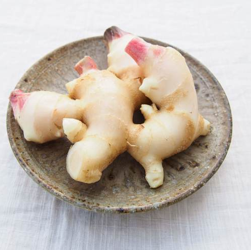 新しょうが