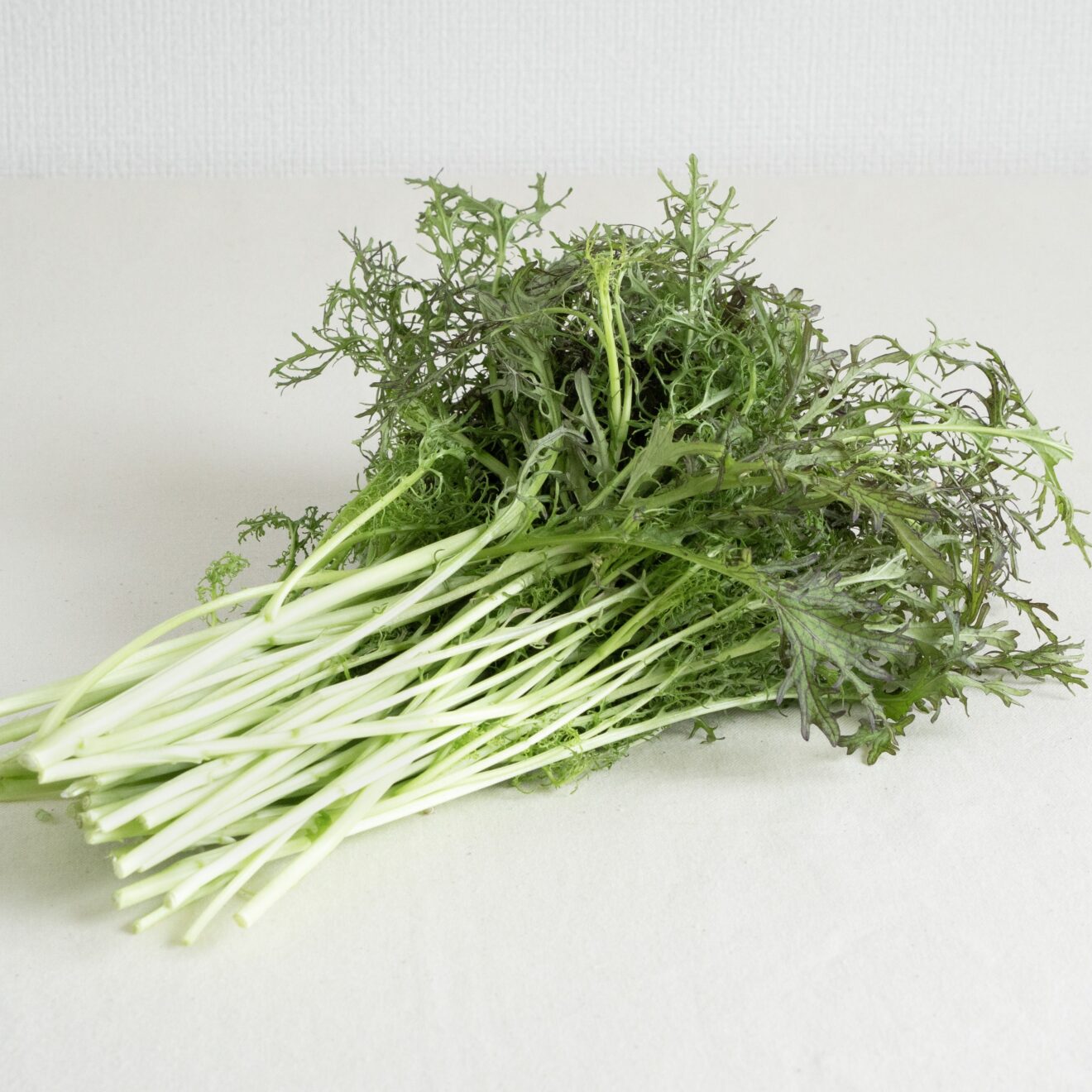 楽天市場】Regular 常備野菜 5品種 詰め合わせ 葉野菜5種 GG