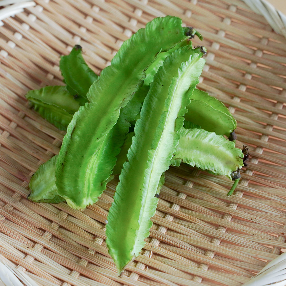 四角豆