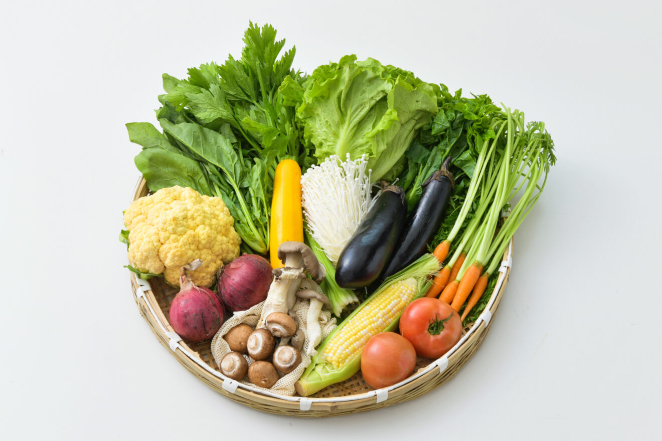旬のお野菜セット(L)[1回お届け] | 坂ノ途中 | サステナブルな