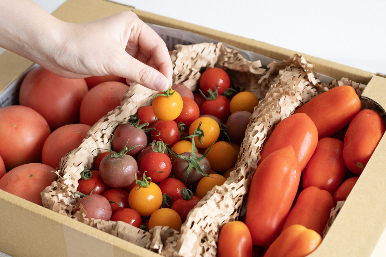 シクラメン　海の見える丘のトマト８キロ　長崎県産 プチッと弾ける果汁🍅特別栽培「宮トマト」1㎏：長崎県産の