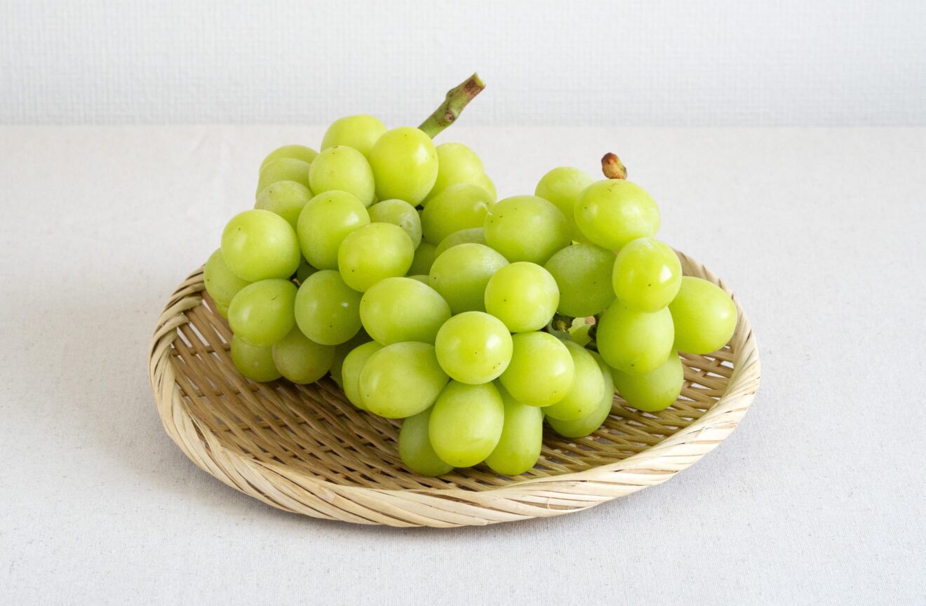 特別価格】【産地直送】長野の山麓育ちのシャインマスカット 800g程度