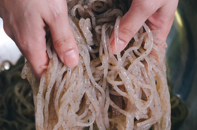 イトこん様 はないと（糸こんにゃく） 1袋 | 坂ノ途中 | サステナブルな有機野菜と