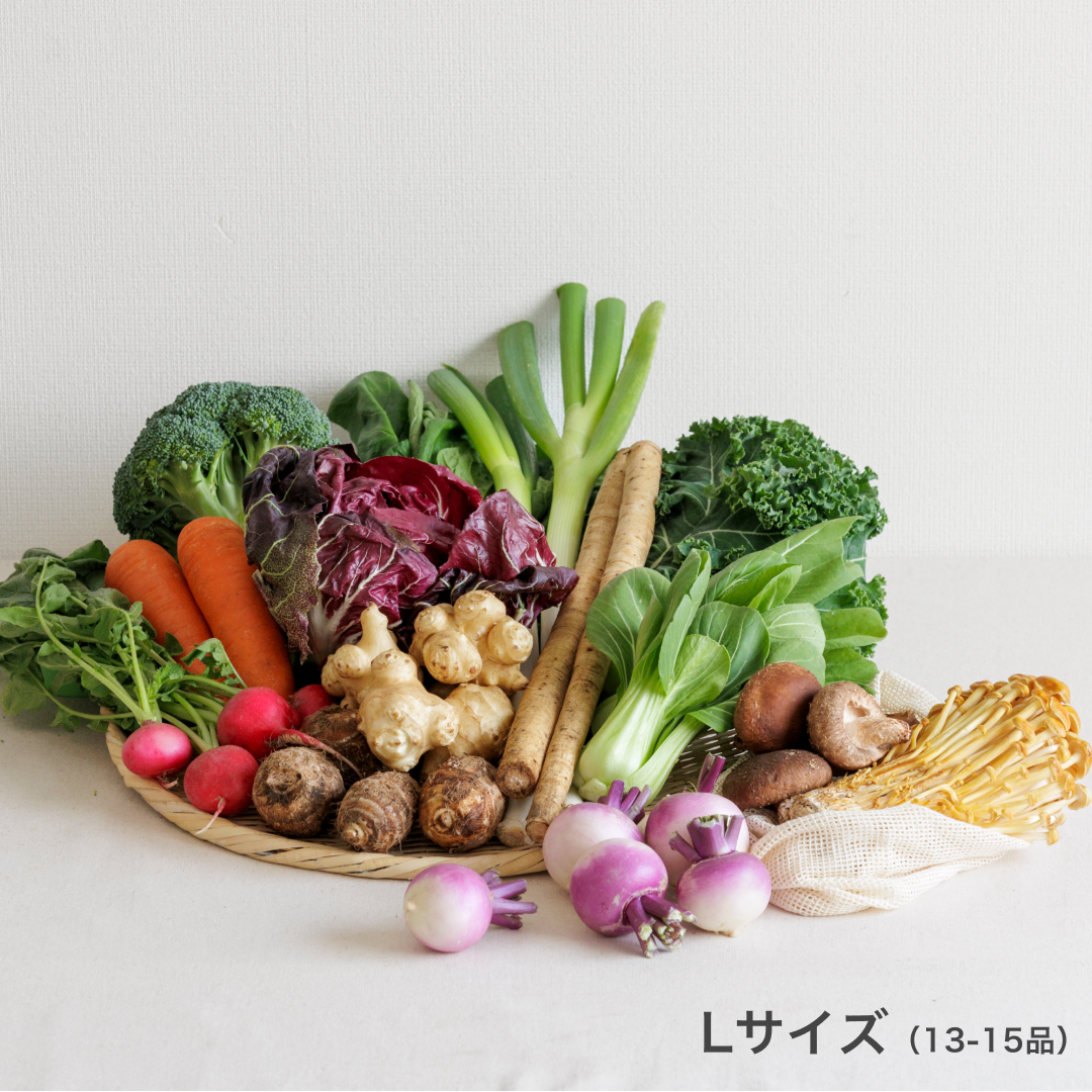 お野菜です。 お任せ野菜ボックス 野菜11点セット【時間指定不可】【プラザセレクト