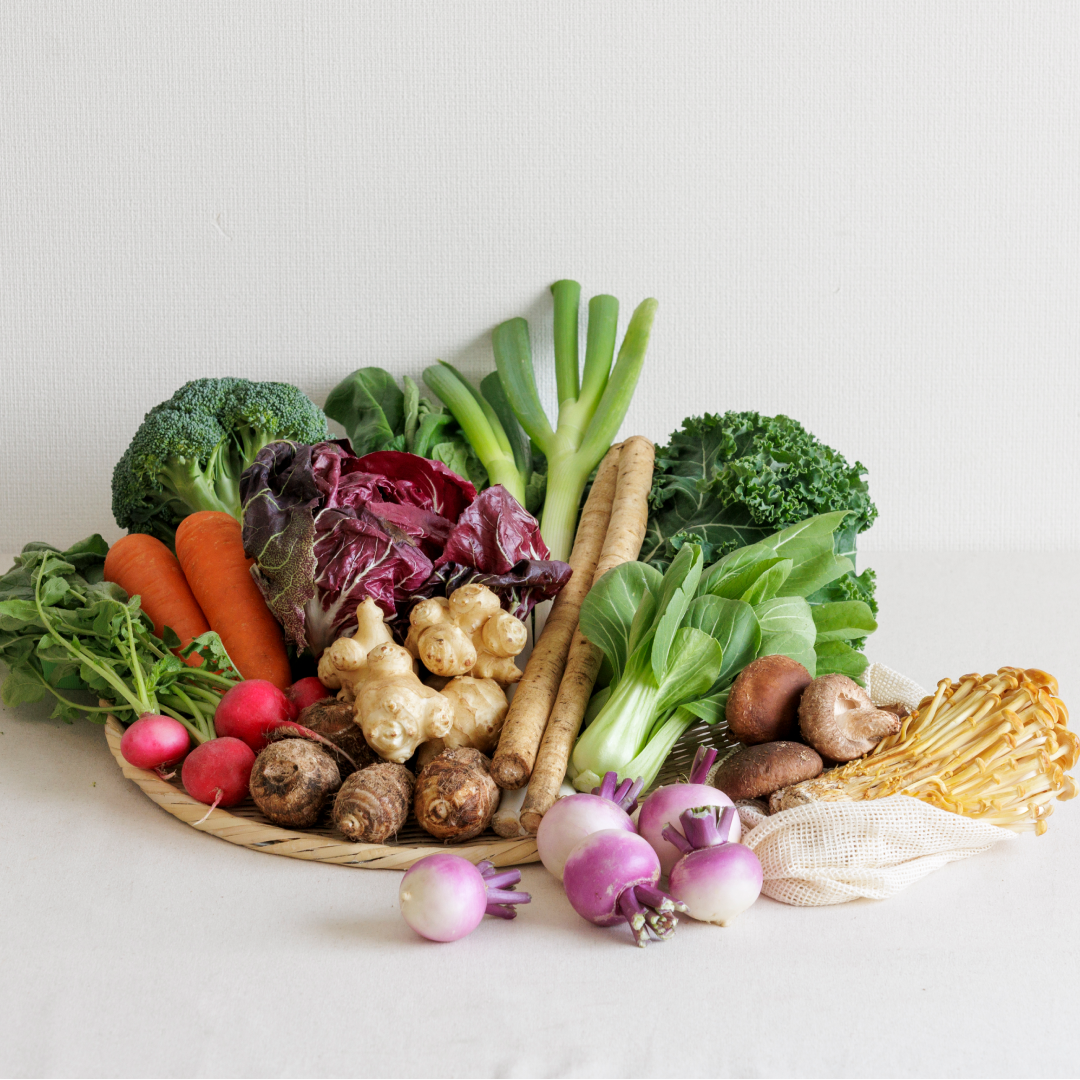 【専用出品】菜 坂ノ途中 旬のお野菜セット | 坂ノ途中 | サステナブルな有機野菜と