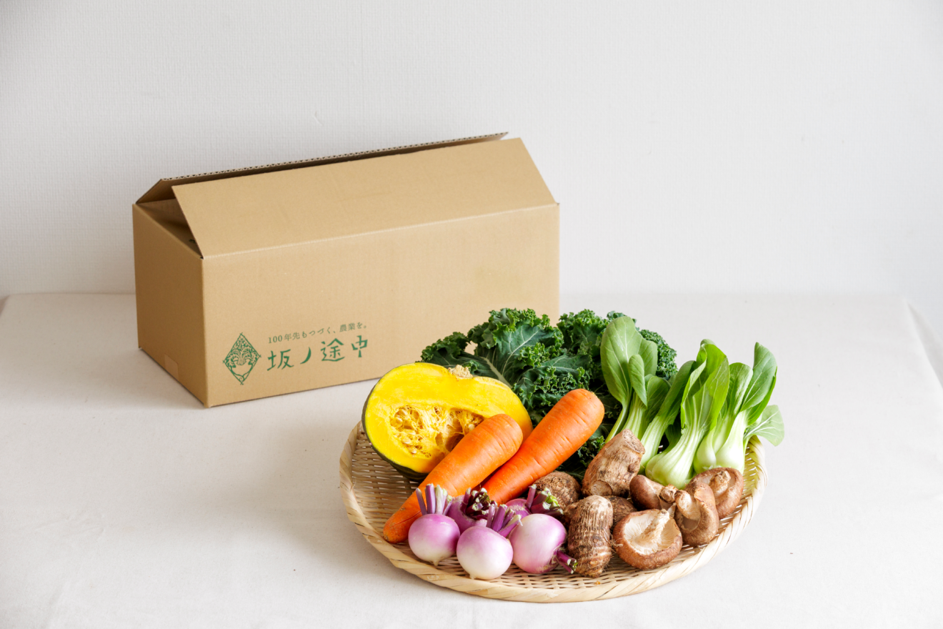 リピーターのびょんきち、野菜セット 奈良県産 リピーターのびょんきち、野菜セット 奈良県産 リピーターのびょんきち