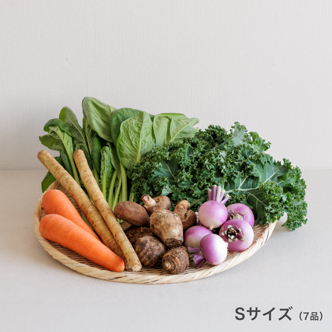 坂ノ途中 旬のお野菜セット | 坂ノ途中 | サステナブルな有機野菜と