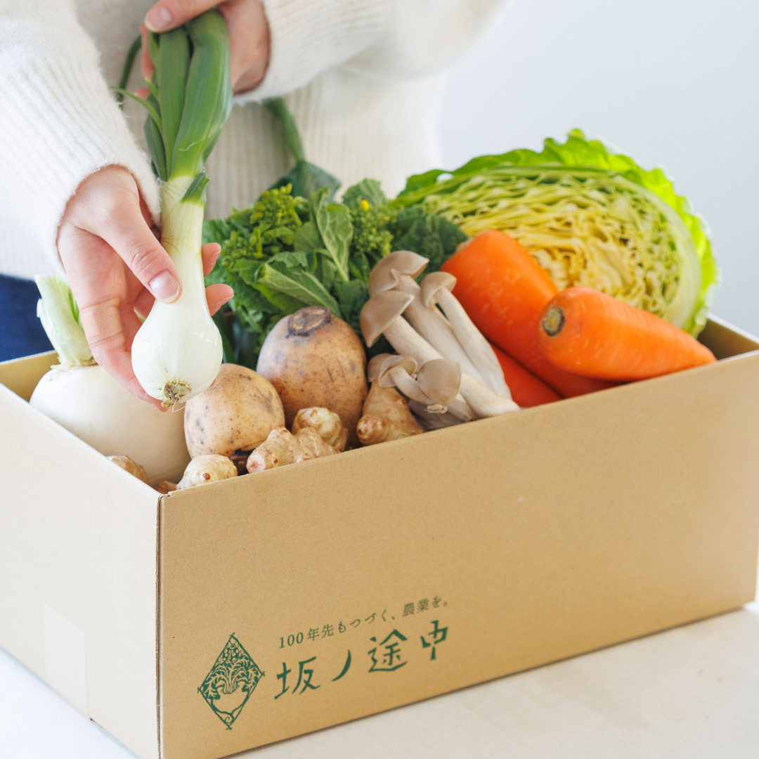 坂ノ途中 きほんのお野菜セット[定期宅配] | 坂ノ途中 | サステナブル
