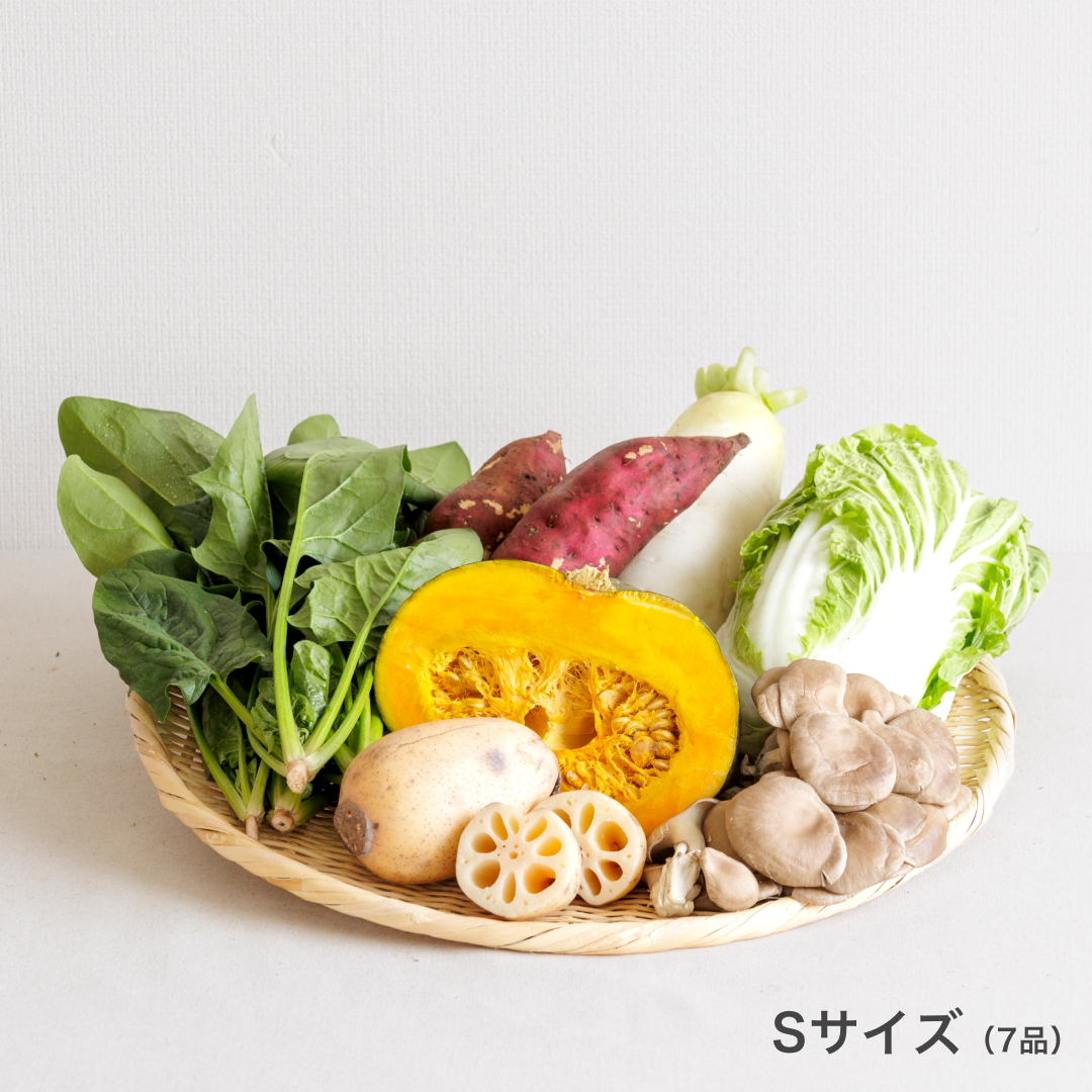 季節のお野菜セット 畑から直送＞季節のお野菜セット Mサイズ | 熊本県阿蘇市 | ふるさと