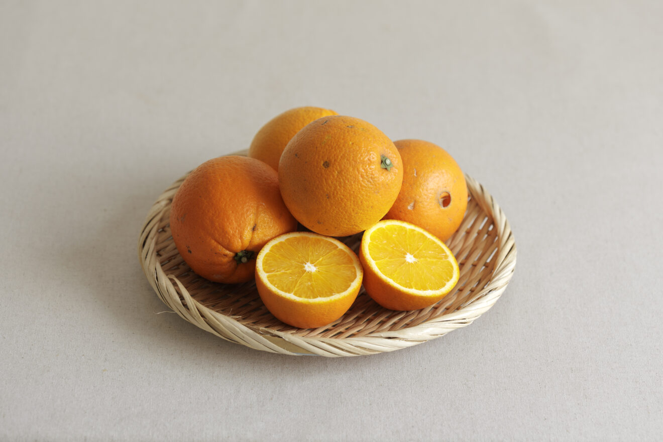 特別価格】ネーブルオレンジ 1kg | 坂ノ途中 | サステナブルな有機野菜