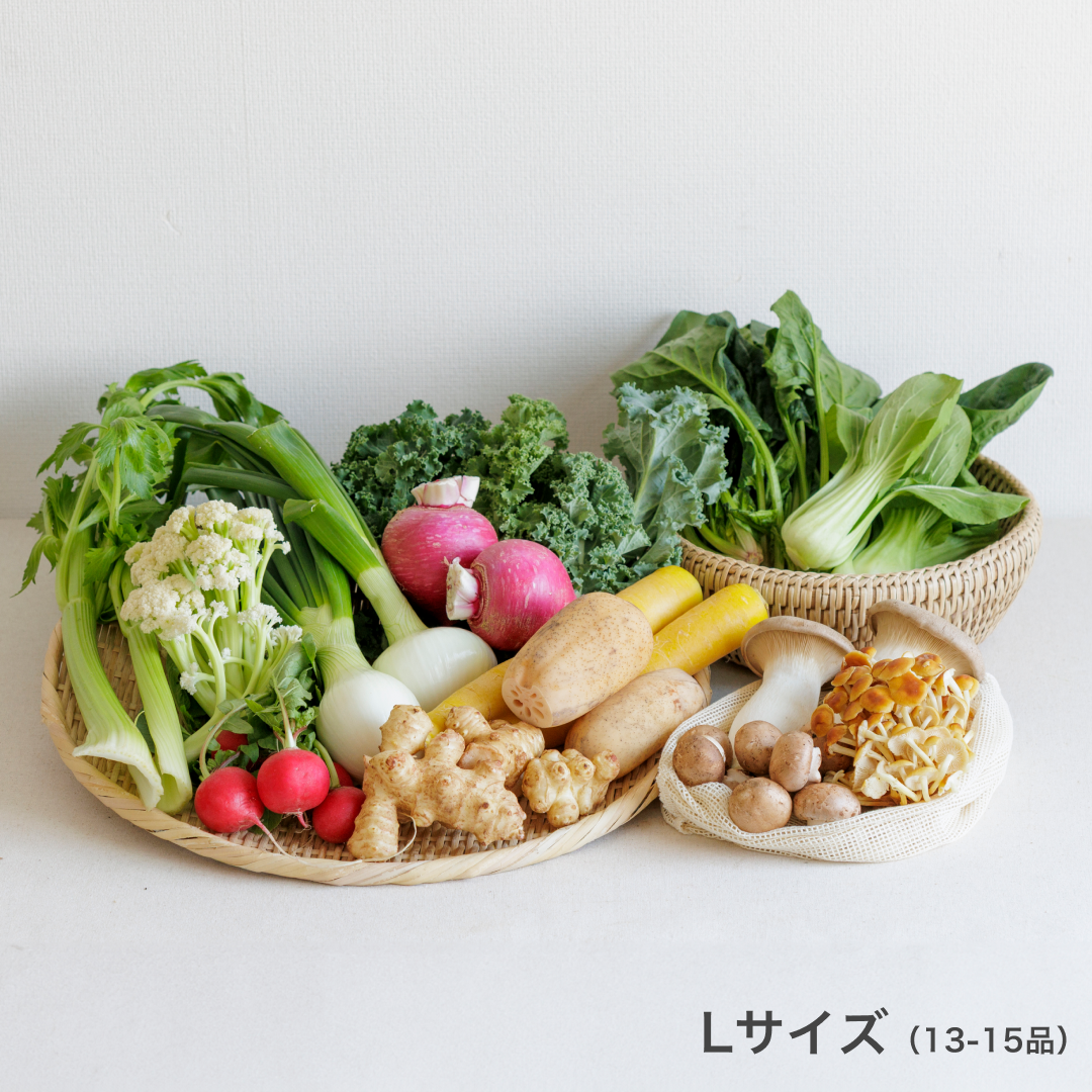 季節のお野菜セット 坂ノ途中 旬のお野菜セット | 坂ノ途中Onlineshop | 出会う、味わう