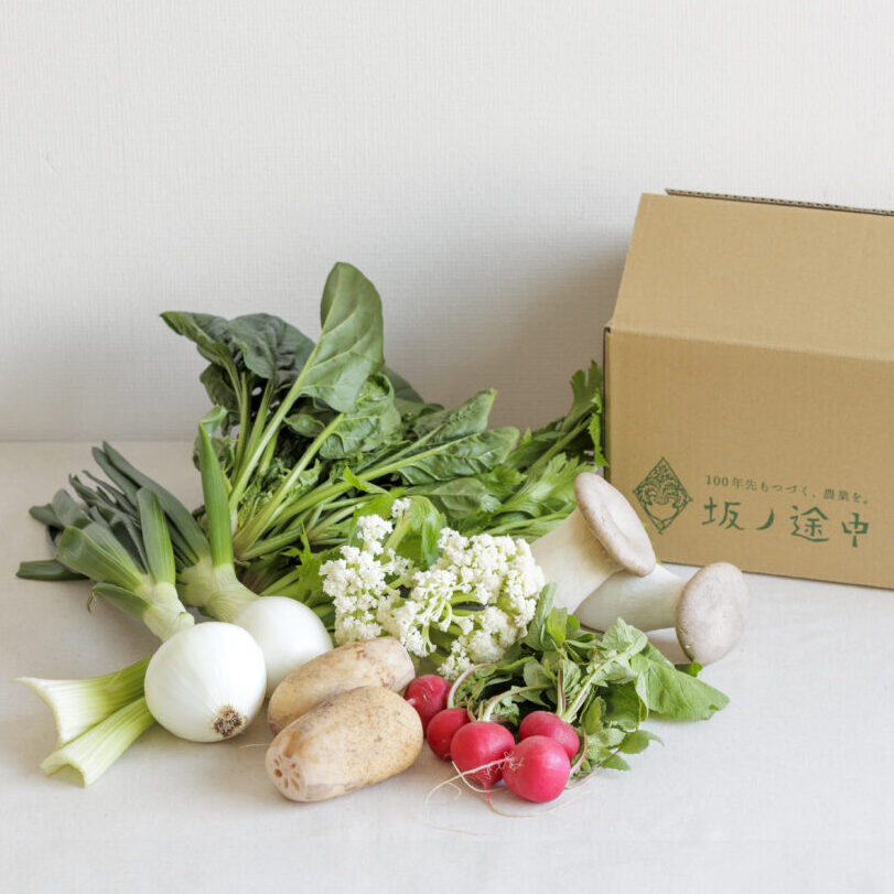 菜菜一汁さま専用。おまとめ追加商品 坂ノ途中 旬のお野菜セット[定期宅配] | 坂ノ途中Onlineshop | 出会う