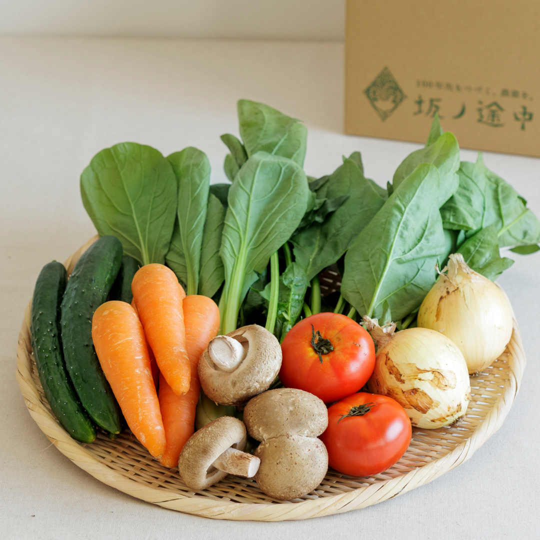 坂ノ途中 きほんのお野菜セット[定期宅配] | 坂ノ途中Onlineshop