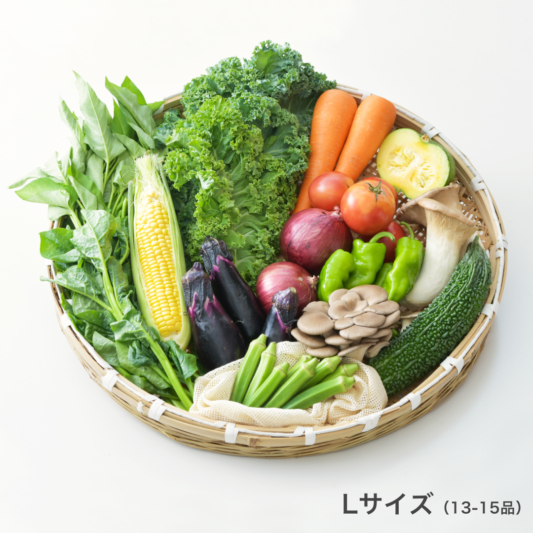 坂ノ途中 旬のお野菜セット | 坂ノ途中Onlineshop | 出会う、味わう
