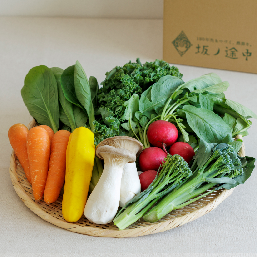 坂ノ途中 旬のお野菜セット | 坂ノ途中Onlineshop | 出会う、味わう