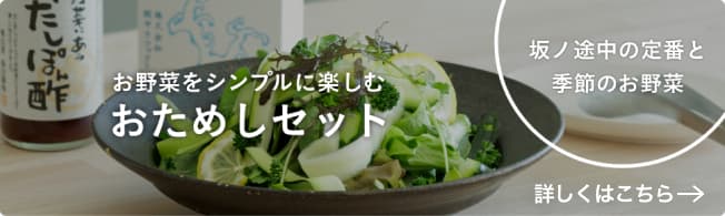 お野菜をシンプルに楽しむ おためしセット 坂ノ途中の定番と季節のお野菜